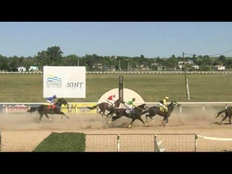 CARRERAS SINT PAYSANDU - 211111 c05 1° MISTER REPORT