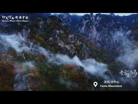 #henantourism #henan #travel #tourism