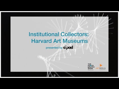 Institutional Collections: Harvard Art Museums