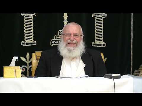 מסר קצר לפרשת לך לך | מאת מרן הרב אשר וייס שליט"א (תשפ"ה)