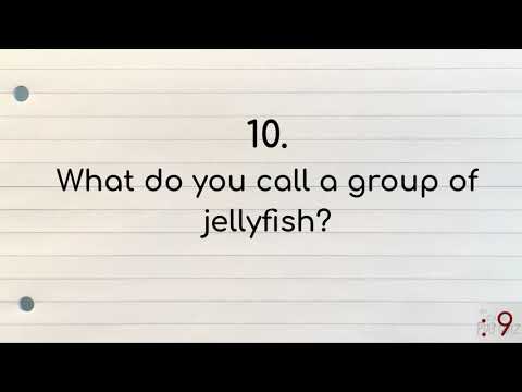 Trivia Answer Sheets