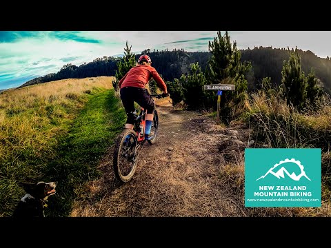 Slamingtons into Lamingtons - That place, Whanganui