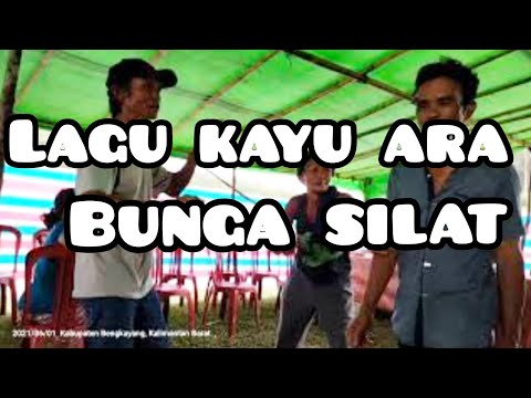 JOGET DAN KARAOKE LAGU KAYU ARA