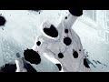 The Spot The Collider Suite Spider Man Into The Spiderverse Across The Spiderverse
