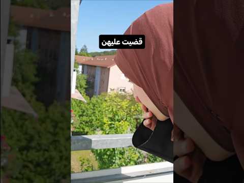 قضيت عليهن 🤌🤌                          #youtubeshorts #اكسبلور #shorts #youtubeshorts #ayo_arti