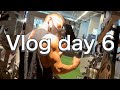 Vlog day 6 最近ハマってる「肩トレ」で血管こんにちは #shorts