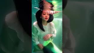 Download lagu SW STATUS WHATSAPP STORY WA SHORT VIDEO 21 mp3 Download lagu SW STATUS WHATSAPP STORY WA SHORT VIDEO 21 mp3