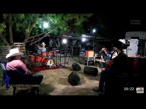 Cadetes de linares -  un viejo 🧓 amor ❤️