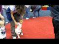 Belle At Her First MyGym Class