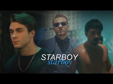Turkish Multimale | STARBOY