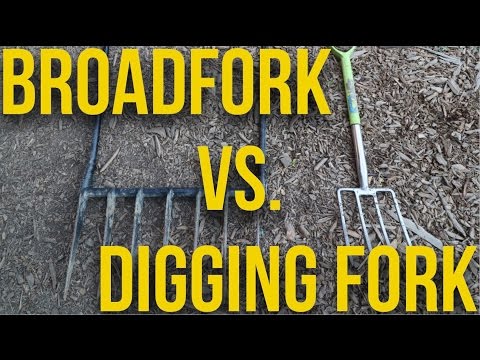 Battle of the Forks: Broadfork vs Digging Fork