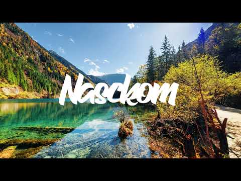 NASCKOM FT RONISIA - Désoler (ZOUK REMIX) 2021