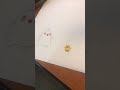 Molang