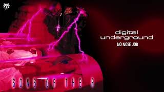 Digital Underground - No Nose Job