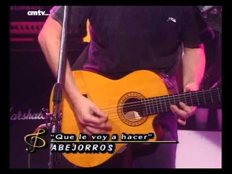 Abejorros video Que le voy a hacer - CM Vivo 1997