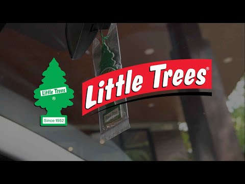 Let It Hang With Little Trees | CarGuide.PH