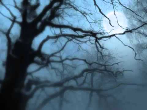 Cortazar - Beethoven   Silence