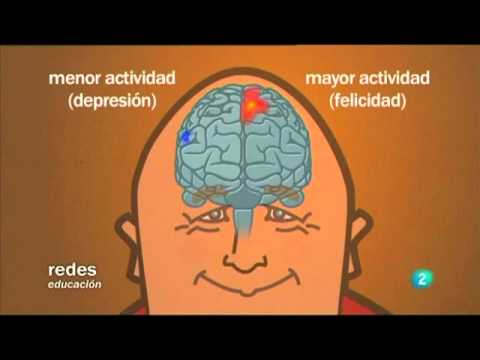 Los beneficios de la meditación según la ciencia Los beneficios de la meditación según la ciencia