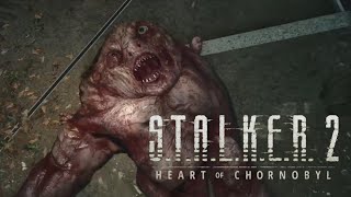 #9 夜叉まるの[ S.T.A.L.K.E.R. 2 :Heart of Chornobyl ]