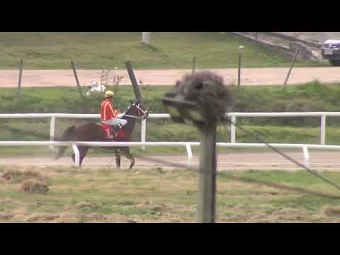 SINT COLONIA - 220918 c01 1° HEROE VOLADOR