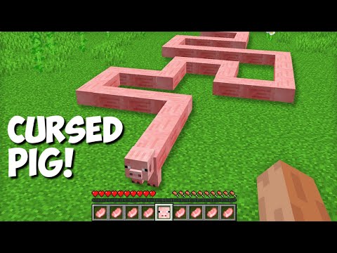 Cursed Minecraft Pig Madness!