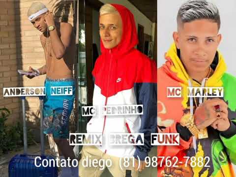 Anderson neiff MC Pedrinho MC marley remix brega funk.