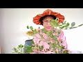 L Bonsai L L Triangle L L Garden L L කොහොමද බොන්සායි ශාකයක් 