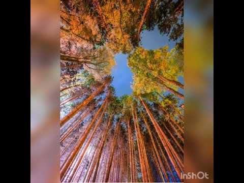 WAKTU |NICK YOUNG MADE FT. YANG FLOW|