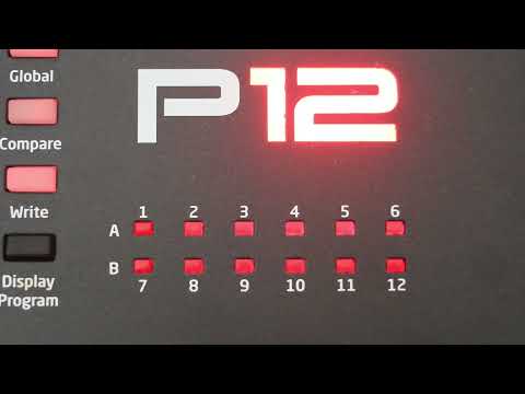 Dave Smith Instruments Prophet-12 Module Demo