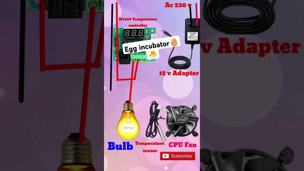 #diy Incubator for chicken eggs connection diagram #shorts #ytshorts