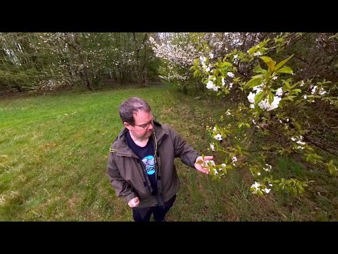 Nu har våren kommit