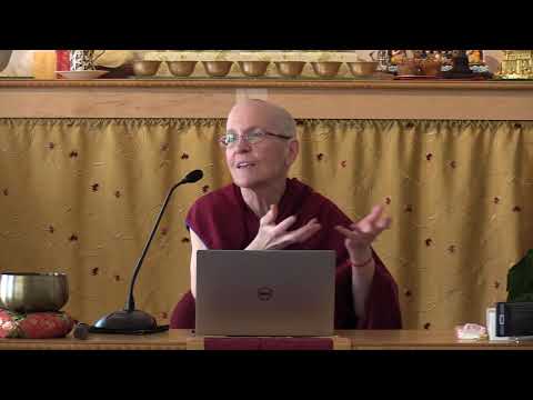 03-18-21 Tara's Brilliance - BBCorner