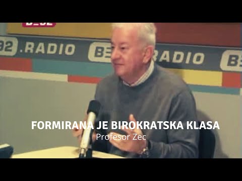 Formirana je birokratska klasa - profesor Zec