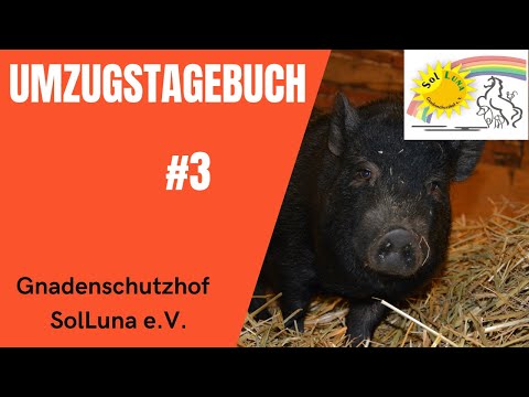 , title : 'Umzugstagebuch #3 | SolLuna'