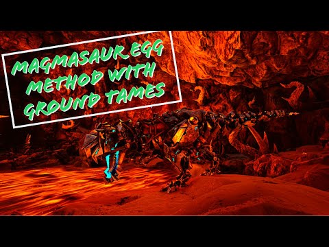 HOW TO GET MAGMASAUR EGGS WITH GROUND TAMES!!!