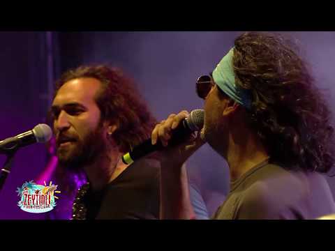 Umut Kuzey & Çelik - Bu Şehirde | Zeytinli Rock Festivali 2016