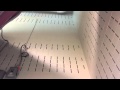 Bat Find The Room Through Multiple Try Bat In Natatorium Indoor Swimming Pool