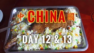 KFC is a LOT fancier in China // China Vlog Day 12 and 13 // 2017.5.2.3
