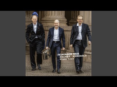 Korngold: Piano Trio in D Major, Op. 1: I. Allegro non troppo, con espressione