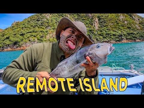 THE ULTIMATE NZ FISHING, HUNTING AND DIVING CHARTER