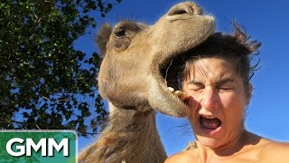 What the Heck Are They Doing? (GAME) #2