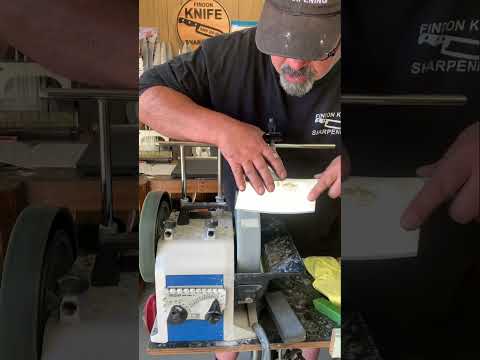 I finally bought a US430 for my Tormek T8!