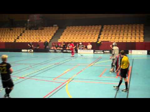 Solfjädern-Vingen 6-2 - elegant av Stendahl/Broomé