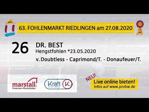 26 DR. BEST - HF v. Doubtless-Caprimond - Fohlenauktion Riedlingen 2020