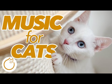 EXTRA LONG Cat Music - Soothing Melodies to Relax Your Cat