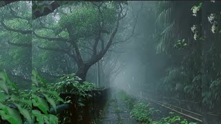 Download lagu Whatsapp status| Nature status| status video |  Rain status video #rain #nature #viral #status video mp3 Download lagu Whatsapp status| Nature status| status video |  Rain status video #rain #nature #viral #status video mp3