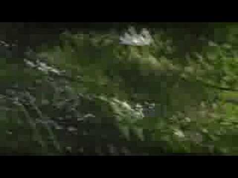 Mitsubishi Lancer Evo IX Tomasz Kramarczyk -GSMP Załuż 2008