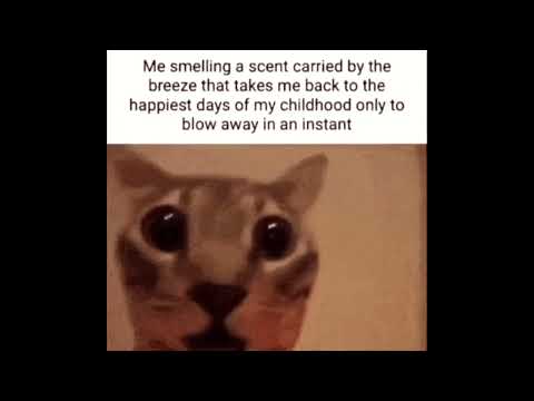 Me smelling a scent carried by the wind (MOTHER 3 Music)