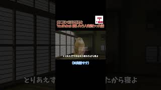 郵〇局の給与明細をYouTubeに晒したら人生終わった話 #猫ミーム #shorts