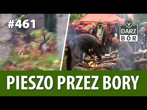 Darz Bór odc. 461 Pieszo przez Bory…